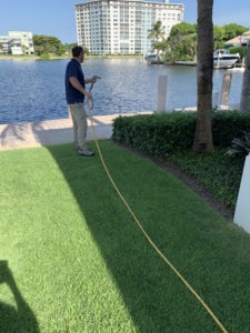 Pur-Lawn 12