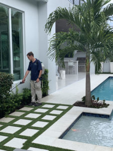 Pur-Lawn 4