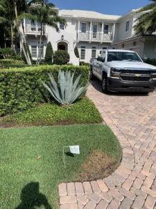 Pur-Lawn 7